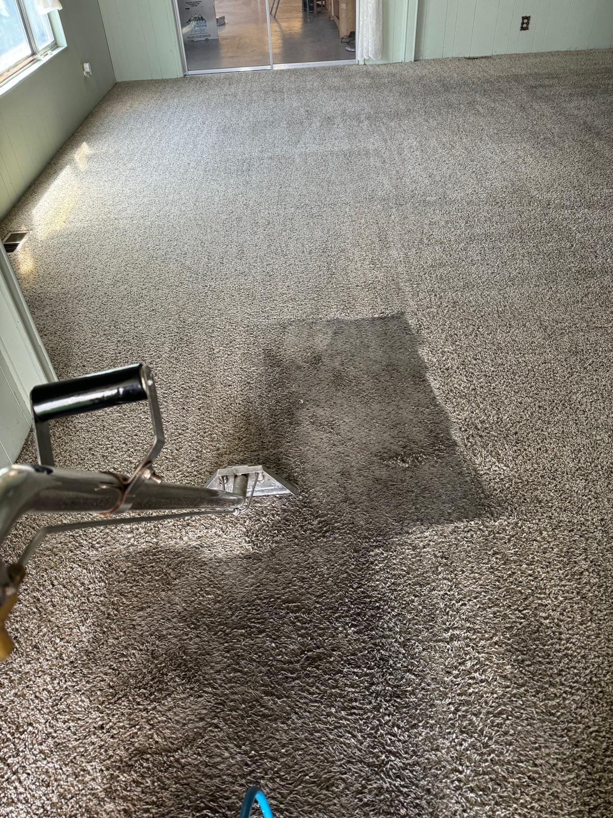 Carpet and Sofa Cleaning
